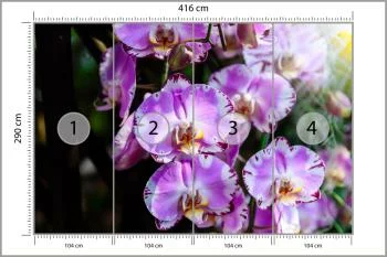 Fototapeta Piękne Orchidee - obrazek 3