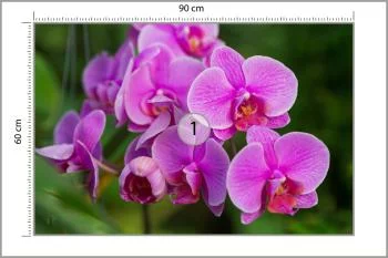 Fototapeta Kwiaty Orchidei 3D - obrazek 3