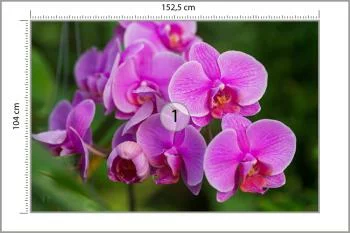 Fototapeta Kwiaty Orchidei 3D - obrazek 3