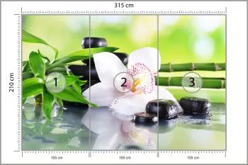 Fototapeta Piękny Storczyk Spa - obrazek 3