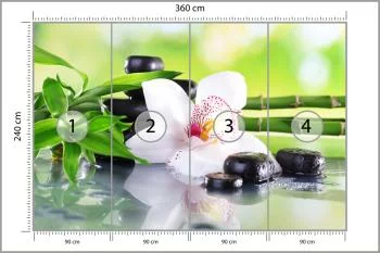 Fototapeta Piękny Storczyk Spa - obrazek 3