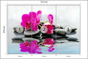 Fototapeta Piękny Storczyk Spa - obrazek 3