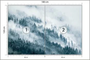 Fototapeta Las We Mgle - obrazek 3
