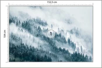 Fototapeta Las We Mgle - obrazek 3