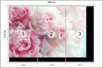 Fototapeta Kwitnące Peonie - obrazek 3