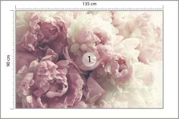 Fototapeta Kwitnące Peonie - obrazek 3