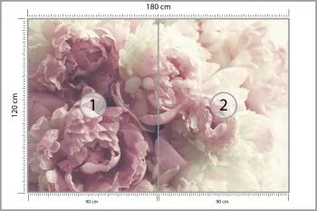 Fototapeta Kwitnące Peonie - obrazek 3