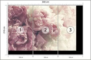 Fototapeta Kwitnące Peonie - obrazek 3