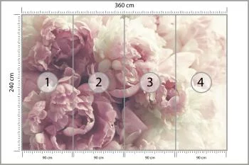 Fototapeta Kwitnące Peonie - obrazek 3
