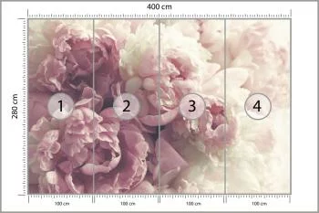 Fototapeta Kwitnące Peonie - obrazek 3