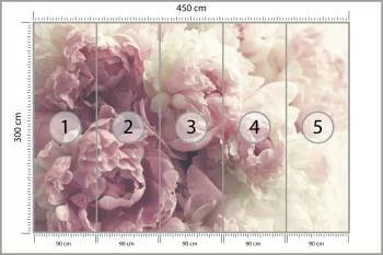 Fototapeta Kwitnące Peonie - obrazek 3