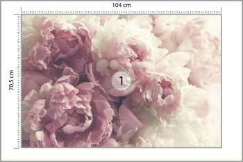 Fototapeta Kwitnące Peonie - obrazek 3