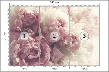 Fototapeta Kwitnące Peonie - obrazek 3