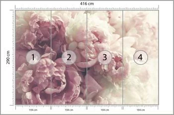 Fototapeta Kwitnące Peonie - obrazek 3