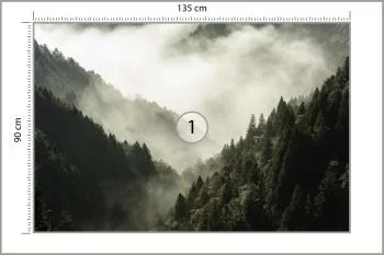 Fototapeta Las We Mgle - obrazek 3