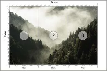 Fototapeta Las We Mgle - obrazek 3