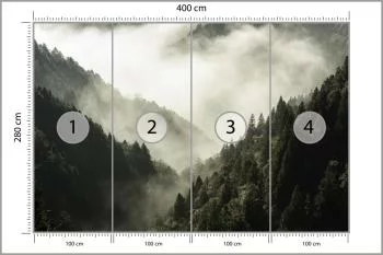 Fototapeta Las We Mgle - obrazek 3