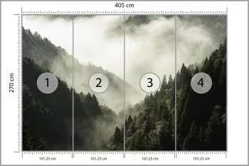 Fototapeta Las We Mgle - obrazek 3