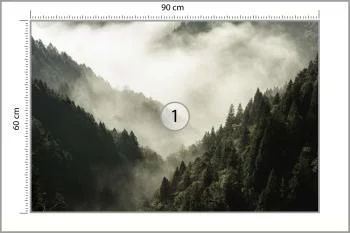 Fototapeta Las We Mgle - obrazek 3