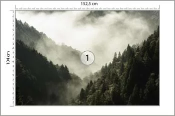 Fototapeta Las We Mgle - obrazek 3