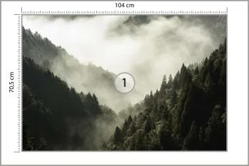 Fototapeta Las We Mgle - obrazek 3