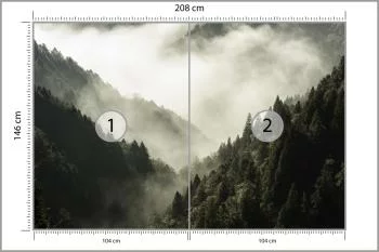 Fototapeta Las We Mgle - obrazek 3