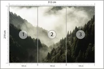 Fototapeta Las We Mgle - obrazek 3