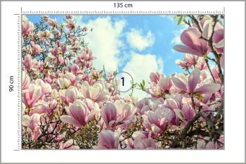 Fototapeta Kolorowa Kwitnąca Magnolia - obrazek 3