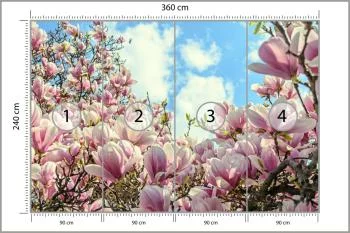 Fototapeta Kolorowa Kwitnąca Magnolia - obrazek 3