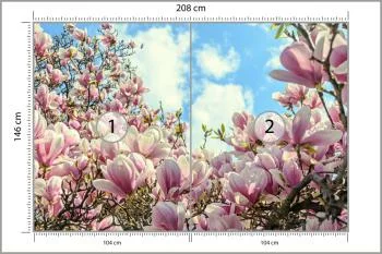 Fototapeta Kolorowa Kwitnąca Magnolia - obrazek 3