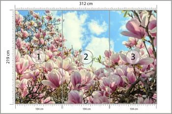 Fototapeta Kolorowa Kwitnąca Magnolia - obrazek 3