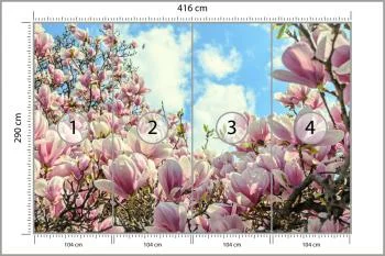 Fototapeta Kolorowa Kwitnąca Magnolia - obrazek 3