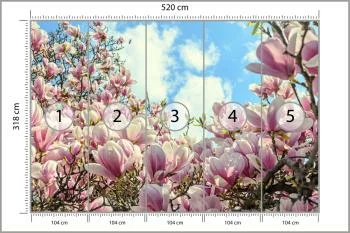 Fototapeta Kolorowa Kwitnąca Magnolia - obrazek 3