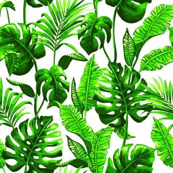 Tapeta Liście Monstera I Palmy - obrazek 2