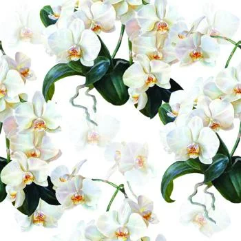Tapeta Do Sypialni Egzotyczne Storczyki Orchidee - obrazek 2