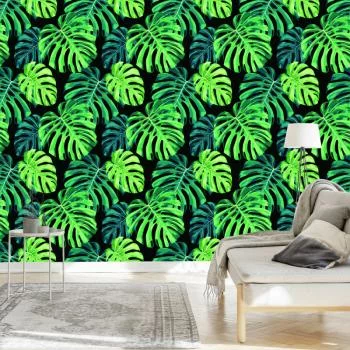 Tapeta Liście Monstery