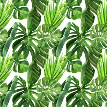 Tapeta Zielone Liście Palmy - obrazek 2