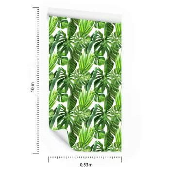 Tapeta Zielone Liście Palmy - obrazek 3