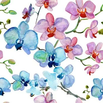 Tapeta Do Salonu Orchidea Kwiaty Natura Storczyki - obrazek 2
