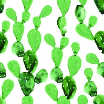 Tapeta Kwiaty Kaktus Akwarela - obrazek 2