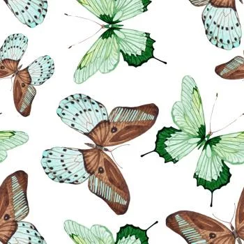Tapeta Do Kuchni, Motyle, Natura, Przyroda - obrazek 2