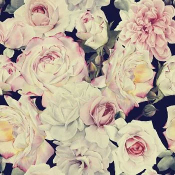 Tapeta Klasyczne Róże - obrazek 2