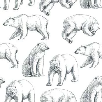 Tapeta Niedźwiedzie Polarne - obrazek 2