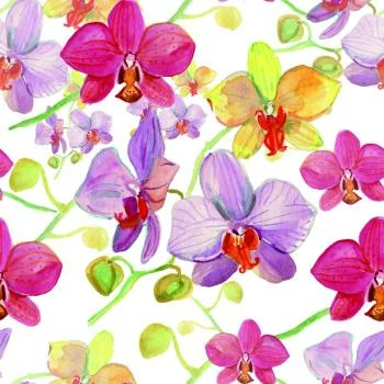 Tapeta Do Salonu Storczyki Kwiaty Przyroda Natura - obrazek 2