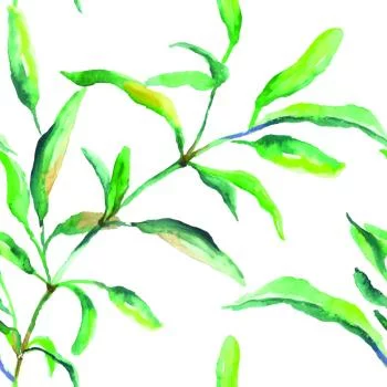 Tapeta Wiosenne Liście Akwarela - obrazek 2