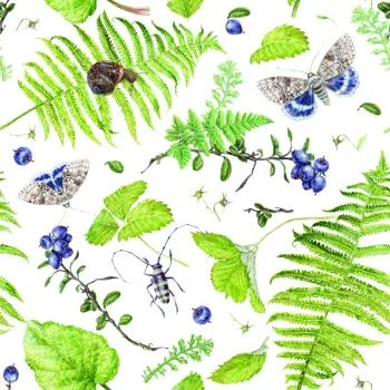 Tapeta Paproć Z Motylami - obrazek 2