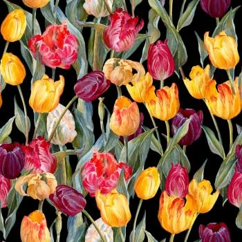 Tapeta Kolorowe Tulipany - obrazek 2