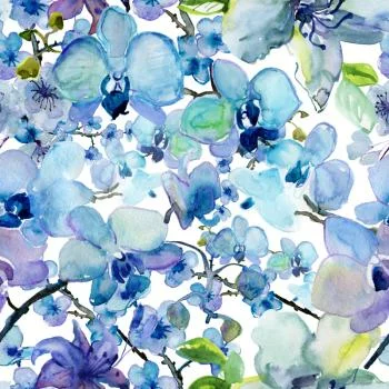 Tapeta Malowane Akwarelą Orchidee - obrazek 2
