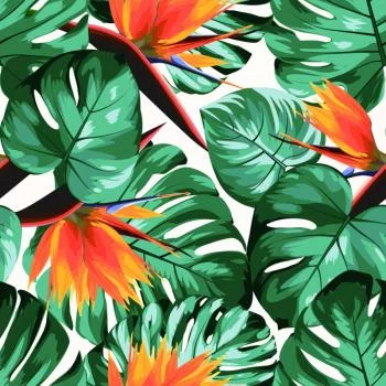 Tapeta Tropikalne Liście I Kwiaty - obrazek 2