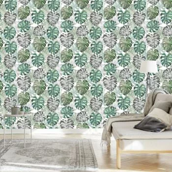 Tapeta Liście Monstera